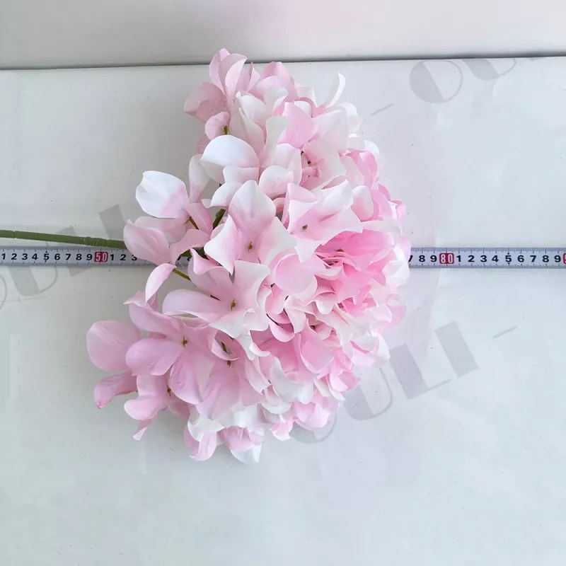 Grandes flores de hortensia falsa