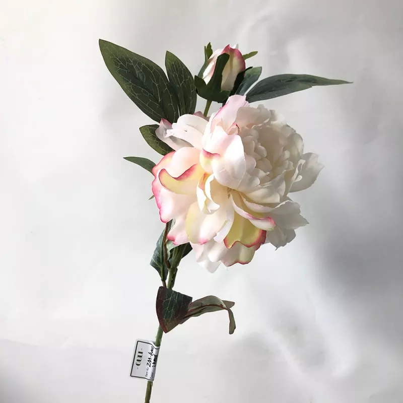 Elegantes flores de peonía falsa