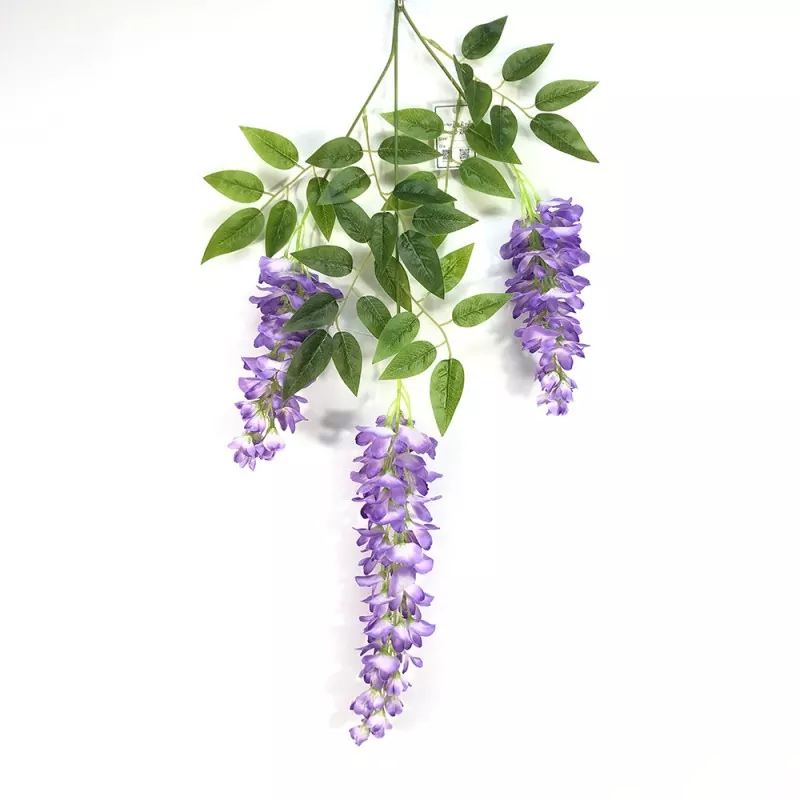 Ramas de glicinias falsas