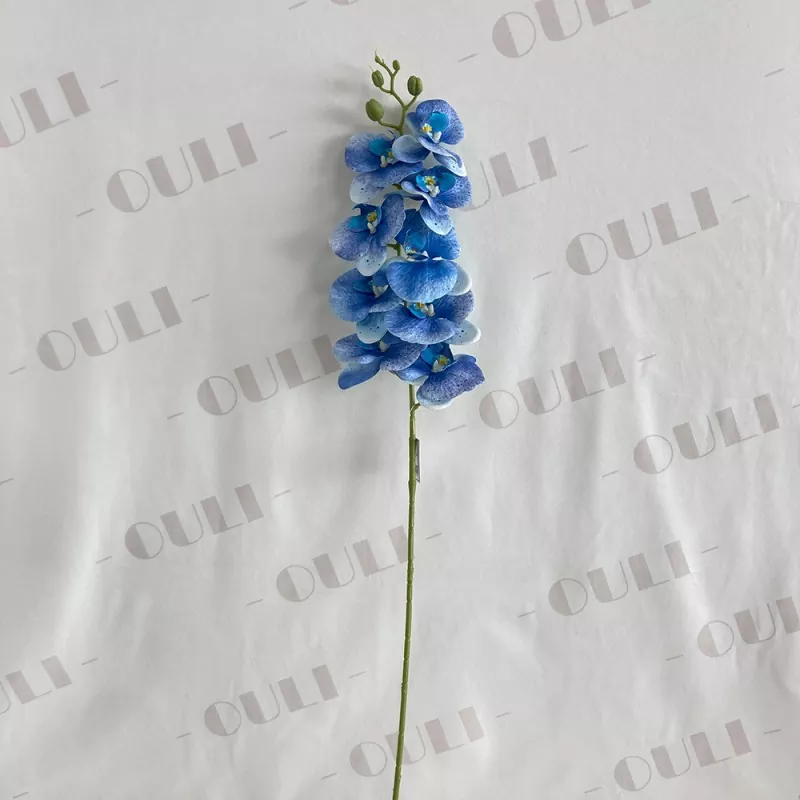 Orquídea falsa múltiple
