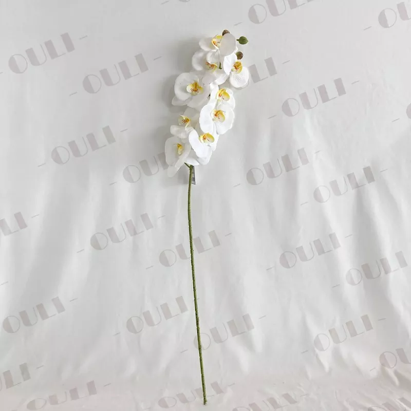 Toque real Orchid falsa