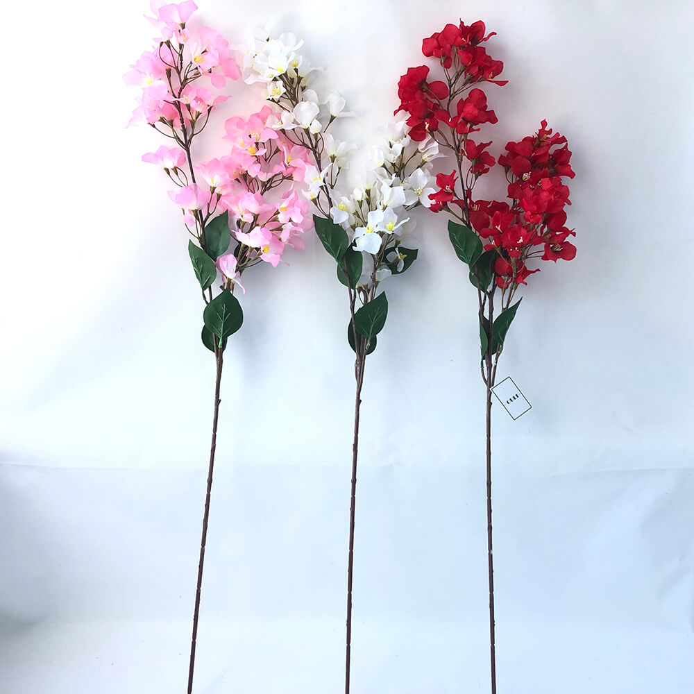 Seda bougainvillea aerosol